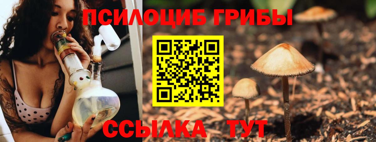 Галлюциногенные грибы ЛСД  Псилоцибиновые грибы мухоморы  Шумерля  Вход с VPN 