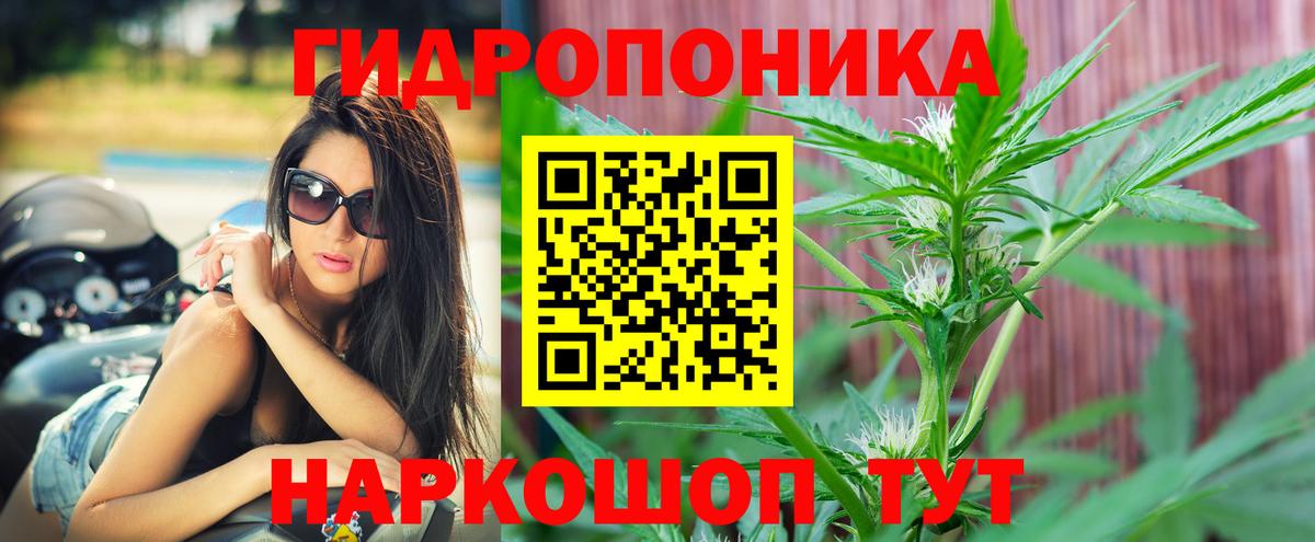 Шумерля  Шишки марихуана SATIVA & INDICA  Марихуана Ganja  Бошки Шишки White Widow  Вход с VPN 